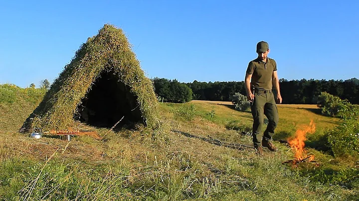 Bushcraft Camping in the Forest-Steppe, Overnight ...