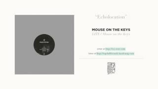 "Echolocation" by mouse on the keys