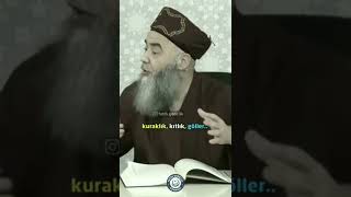 Allah Bir Kavme Kızdığı Zaman.