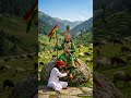bhajan vina mari bhukh nay bhange. adityadan gadhvi song. ramdepir song. રામદેપીર song. ramadhani