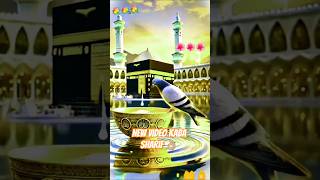 Subhan Allah Alhamdulillah 🤲🏼#trending#YouTube#short#video 🕋🕋🕋👍✋✌️🤲