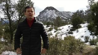 32 degrees light down jacket