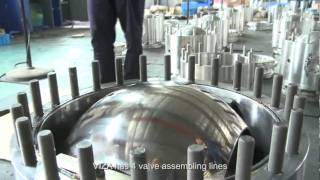 Viza Valves: The Flow Control Expert