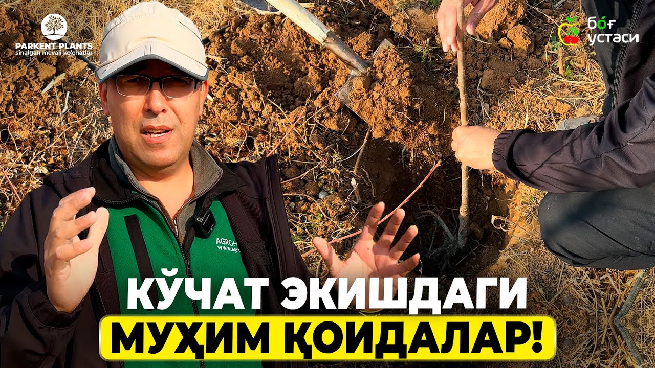 КЎЧАТ ЭКИШДАГИ НОЗИК МАСАЛАЛАР! | ШУҲРАТ АБРОРОВ #shuhratabrorov #kochat #ekish