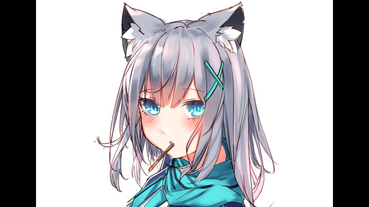シロコ Time Lapse Youtube シロコ Time Lapse Youtube