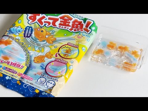 [DIY Kit] Goldfish & Turtle Scooping - Kingyo-sukui | Kracie