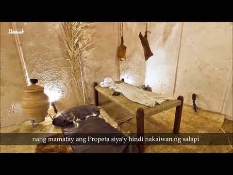 Video: Helmut Strebl: maikling talambuhay at pagsasanay