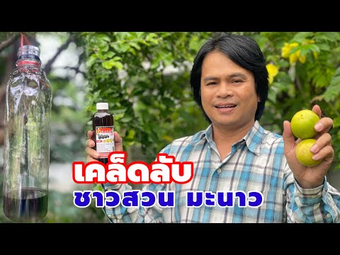 วีดีโอ: เอาต้นมะนาวออก - จัดการกับตัวดูดบนต้นมะนาว