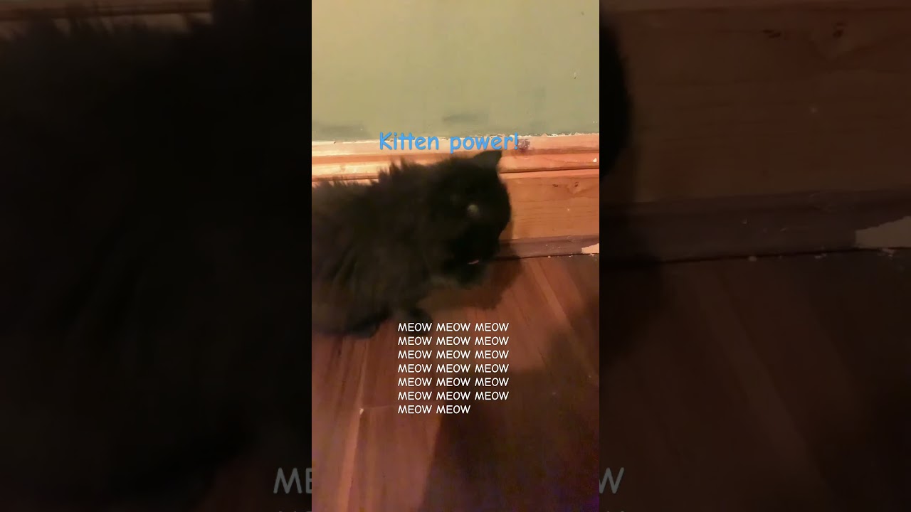 Idk her name yet it's probably gonna be cobwep or Raven u can give me some names?!!