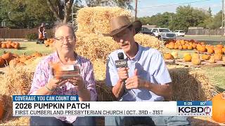 2026 pumpkin patch Guide