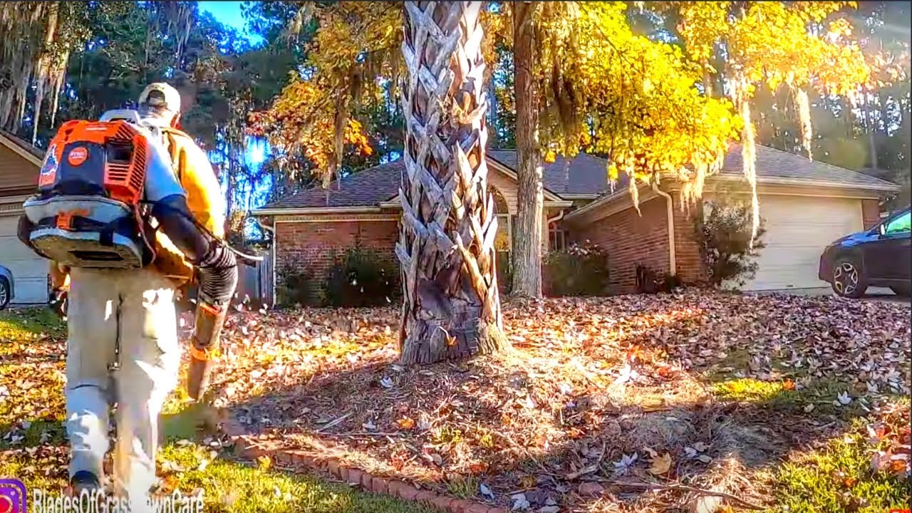 Leaf mulching Satisfying leaf cleanups