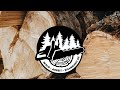 2. Schwacher Vorhänger 🌳🪚🌲 Fallkerbvergrößerung🪚