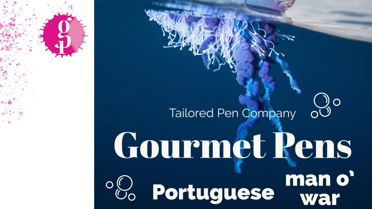 Gourmet Pens x Tailored Pen Company Portuguese Man o' War Fountain Pen