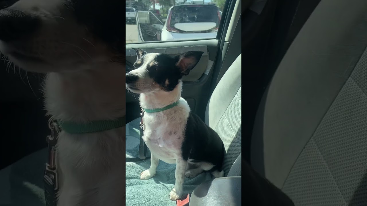 Bad drivers alert!!‼️ 🚗🚙🚓 