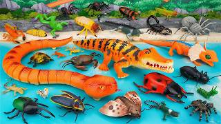 123 Mins ZURU Robo Alive Insects ASMR 🦎 Tachan Snake, Crocodile, Lurking Lizard