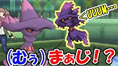 ポケモン Hp調整解説 16n 1 16n 1とは何か 誤字修正版 初心者のためのポケモン解説 58 サン ムーン Pokemon Sun And Moon Youtube