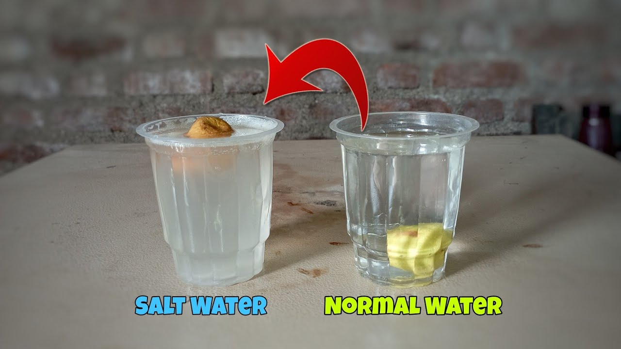Simple science magic trick with salt water | क्या सच में नमक के पाणी पर ...