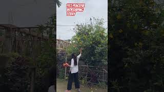 kalpu youtub mini video