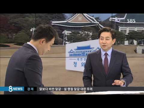 삼성 사장 직접 에스코트한 안종범…극진히 모신 까닭 / SBS
