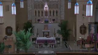 St Francis English Mass - 9am