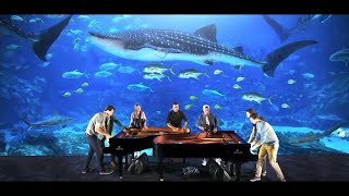 UNDER THE SEA | 2 PIANOS | GEORGIA AQUARIUM