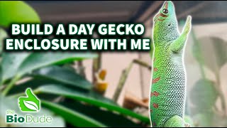 Building a Bioactive enclosure for Day Geckos