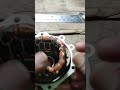 Tanda #cypruz #pendinginruangan #services #repair #tips #trik #tutorial #rewind #diy #install