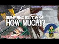 #233【高松沖タイラバ】鯛を市場に卸してみた！HOW MUCH!