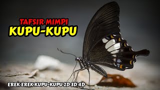 Tafsir Mimpi Kupu Kupu & Erek Erek Kupu-Kupu 2D 3D 4D