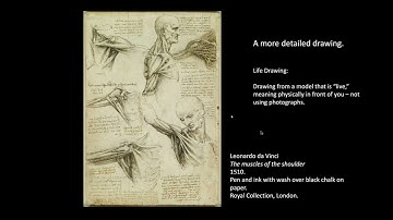 Week 3 Lecture Video Episodes   2023 Fall   ARTH 1115G M70 Orientation in Art   Google Chrome 2023 0