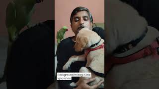 Papa Ke Sath Buddy Or Mitto Masti Kar Rehe Hai