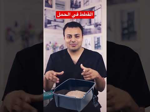 القطط في الحمل  صحتك في رمضان  حمل رمضان حامل  