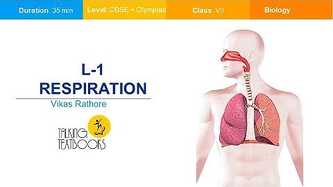 L - 1  Class 7 Crash Course | Introduction Of Respiratory System | Vikas Rathore | TTB