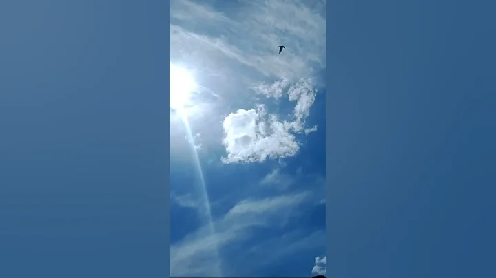 White Clouds with Blue Sky #shorts #weather #clouds