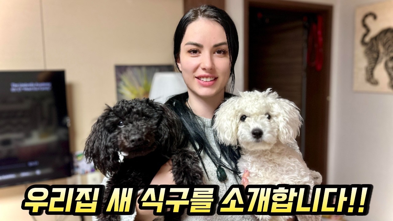 세르비아 아내와 두 번째 강아지를 입양했습니다!!