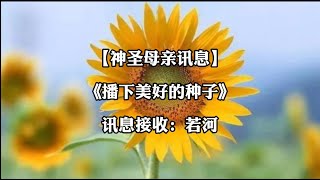 《神圣母亲讯息：播下美好的种子》
