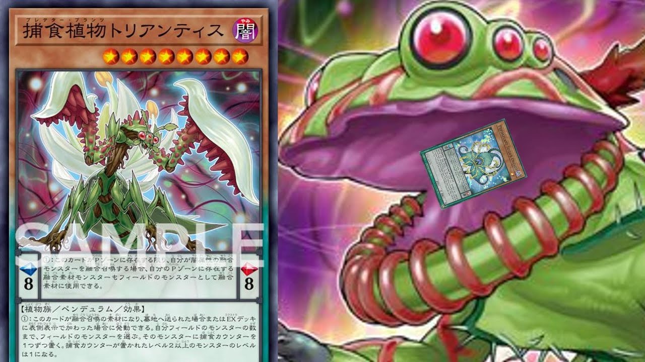 Three Predaplant Pendulum Monsters Youtube