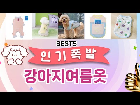 강아지여름옷 이걸 안보면 후회 합니다! 5개의 가성비 갑 아이템 BEST공개