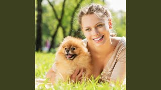 Ethereal Harmony for Joyful Pets