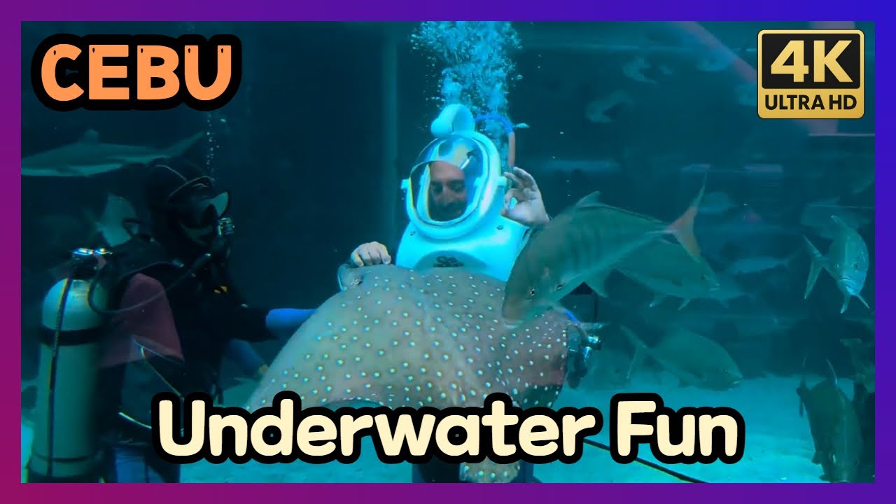 Underwater Fun at Cebu Ocean Park – Helmet Diving with Fishes All Around