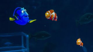The Seas with Nemo &amp; Friends at Walt Disney World Epcot 1.11.24