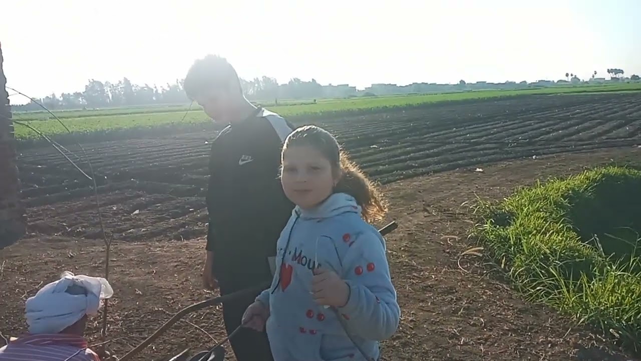 كيمو عند اسماك القرش