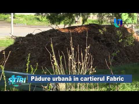 Pădure urbană în cartierul Fabric