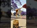 خلطة سلطان العسل الأصلية الأقوى للطاقة والمناعة