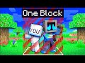 TeeVee Adopts You inside a World Border!
