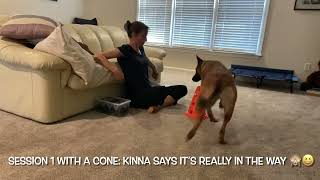 Vito’s Thinking Game With Cone