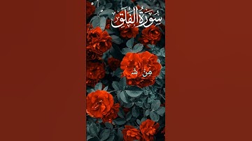 Surat Al-Falaq (The Daybreak) _ Mishary Rashid Alafasy _ مشاري بن راشد العفاسي _ سورة الفلق #islam#
