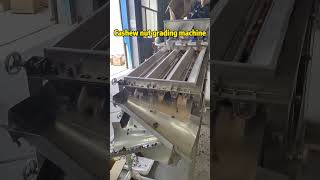 Unlock Higher Profits with Accurate Cashew Grading! 💸📈#cashew  #cashewnuts #grader  #machine