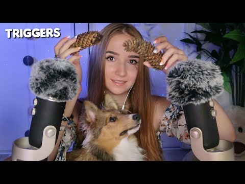 ASMR TRIGGERS NATURE avec mon chien 💞 (version longue, repost coupe de france @DimitriASMR)