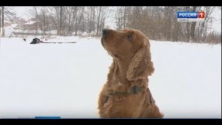 Вести Марий Эл 10 01 2017 Вести Марий Эл 10 01 2017